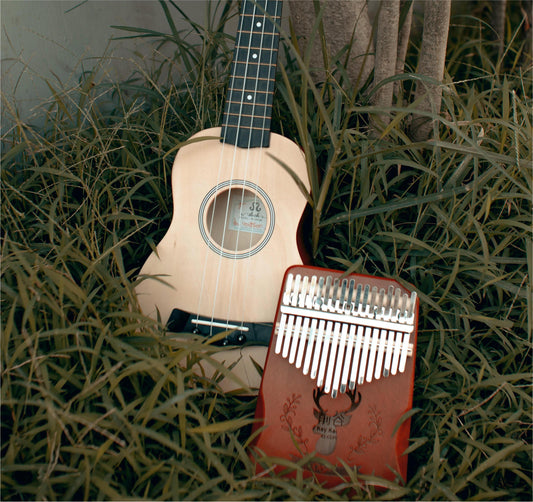The Kalimba, musical instrument for beginner