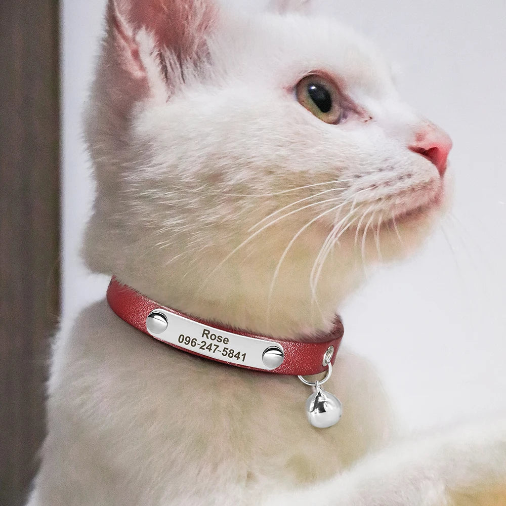 Personalized Nameplate Cat Collar Safety Custom Cat Collars Necklace Free Engraved ID Name Tag For Puppy Kitten Cats Accessories